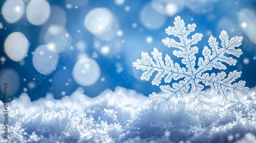 Winters Embrace - A Snowflakes Delicate Dance on a Snowy Stage.