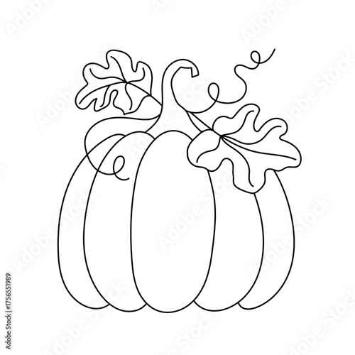 A beautiful pumpkin with leaves. Outline drawing.
