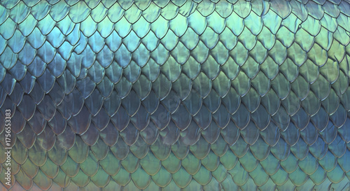 Fototapeta Naklejka Na Ścianę i Meble -  Mermaid's Scales