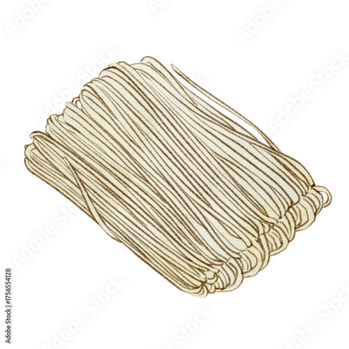 Dried rice noodles hand drawn watercolor⁠
