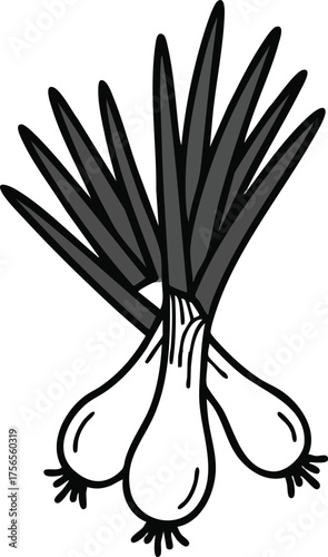 Bunch of fresh green onions with long leaves natural vegetable illustration for cooking and gardening use vector artwork 