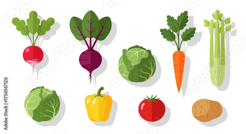 A group of vegetables including radishes beets cabbage carrots celery pepper tomatoes and a potato
