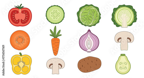 A set of twelve halved vegetables