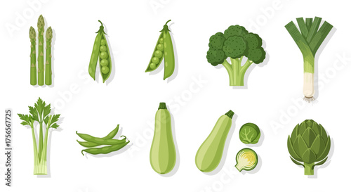 Assortment of drawn green vegetables including asparagus peas zucchini and artichoke on a white background