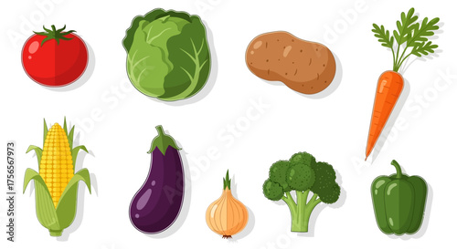 Cartoonstyle image showing various vegetables like tomatoes cabbage corn eggplant and broccoli