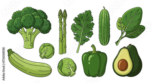 Green vegetables broccoli zucchini asparagus kale cucumber spinach brussel sprouts bell pepper and avocado on white background