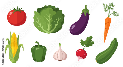 Vegetable arrangement featuring tomato cabbage eggplant carrot corn pepper garlic radish and zucchini on a white background