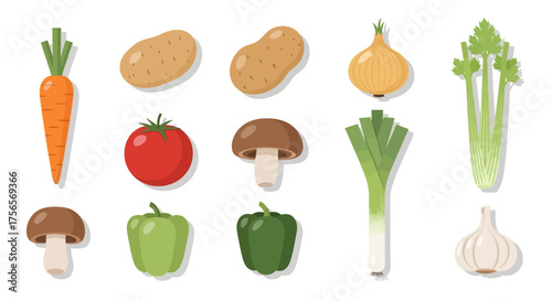 Vegetable array carrots potatoes onion celery tomato mushrooms peppers leek garlic presented on white