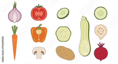 Vegetable illustrations showcasing halved onion tomato pepper zucchini beet potato mushroom carrot sliced cucumber okra