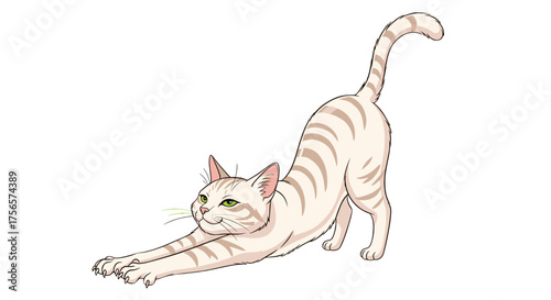 Cute Cream Tabby Cat Stretching Relaxed Peaceful Animal Isolated on Transparent Background