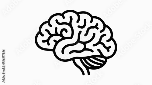 Simple, clean outline illustration of a human brain, representing thought and intelligence