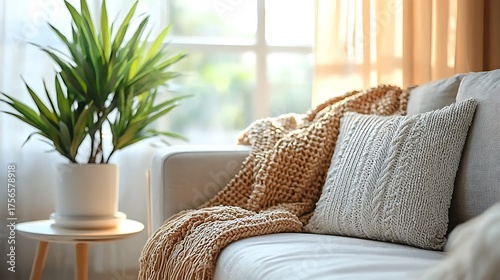 Cozy living room interior with comfortable sofa, blanket, pillow, and potted plant by the window.