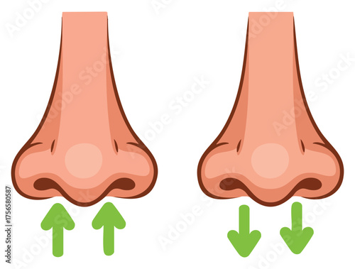 Vector illustration of breathing exercise through nose deep inhale exhale nasal respiratory cycle yoga relaxation and mindfulness health concept artwork