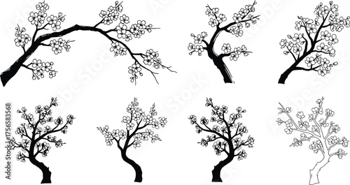 Flowering tree branches, cherry blossom silhouettes, black tree icons, spring foliage patterns, botanical illustration design, vector art, decorative blossom collection
