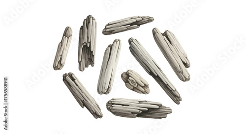 Collection of weathered driftwood pieces arranged in a circular pattern.