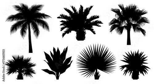 Create a tropical paradise with these dynamic palm tree silhouettes perfect for eye-catching designs that evoke vacation vibes and modern aesthetics