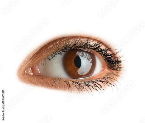 Young Asian woman with brow...