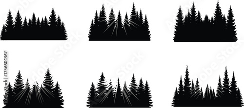 Forest tree silhouette vector set with coniferous pine woodland scenes, light ray effects, artistic landscape illustration, decorative nature elements, creative graphic collection for projects