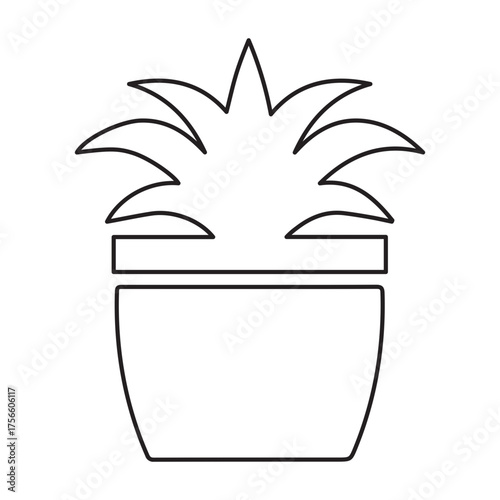 Houseplant in a Pot