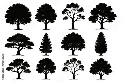 Various silhouettes of trees in black against a white background  