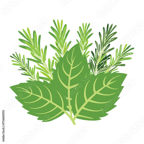 Bushy Green Herb Collection Illustration Rustic Style Bouquet of Aromatic Leaves for Food and Herbal Medicine