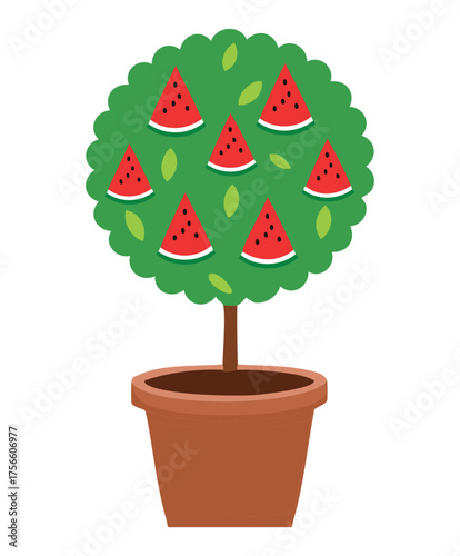Decorative topiary-style watermelon tree with perfectly round red fruit slices growing in a small earthenware pot