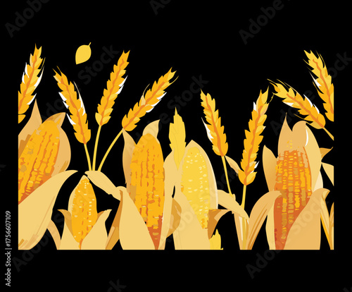 Decorative horizontal border of ripe wheat and corn cobs on a black background for a fall harvest festival banner