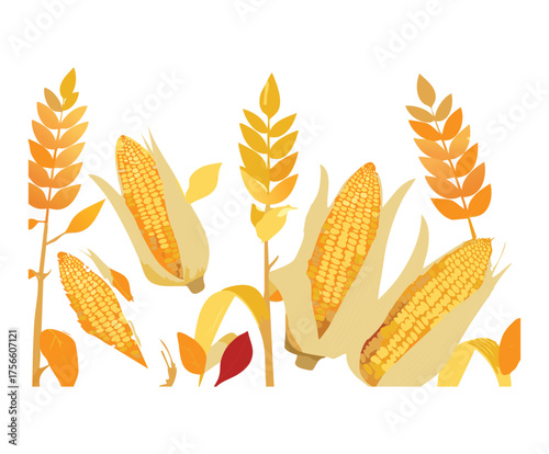 Corn cobs and wheat ears with scattered leaves representing autumn harvest abundance and grain farming products