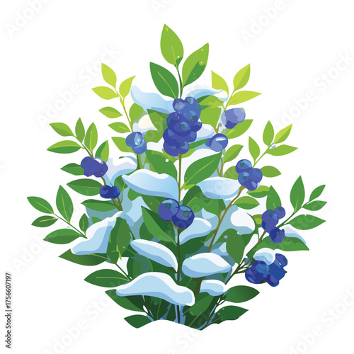 Blueberry bush with mature blue berries dusted with snow a symbol of hardy winter fruit farming and cold climate crop