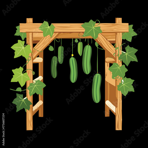 Cucumber vines with hanging fruits on a wooden arbor or archway structure a symbol of successful bountiful harvest