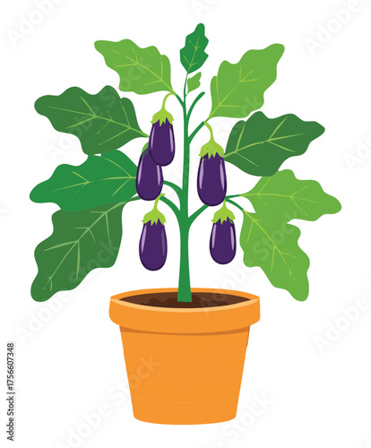 Eggplant plant in a terracotta pot with healthy green leaves and ripening purple vegetables in a cartoon style