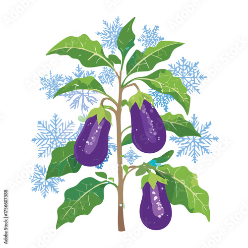 Eggplant plant illustration surrounded by snow and ice representing extreme cold climate agriculture challenges