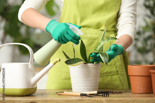 Woman spraying leaves of sa...