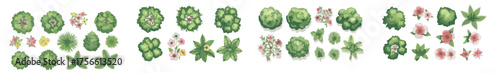 Watercolor style hand drawn top of view tree garden useful for landscape design	
