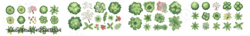 Watercolor style hand drawn top of view tree garden useful for landscape design	
