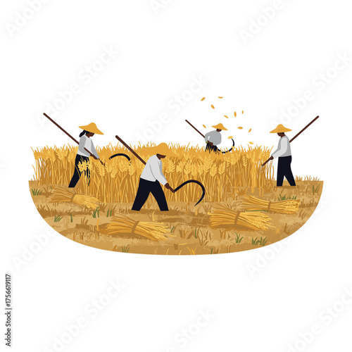 Four agricultural workers wearing straw hats harvest wheat in a golden field using sickles and traditional tools. Vector illustration