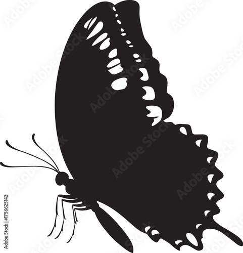 Black Silhouette of a Butterfly in Flight Vector