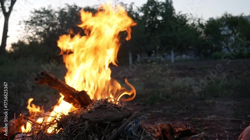 burning campfire in the woods