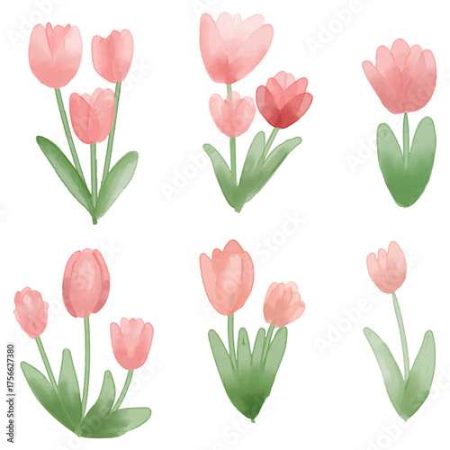 Tulips element set. hand draw watercolor painted isolated on white background. for design. 