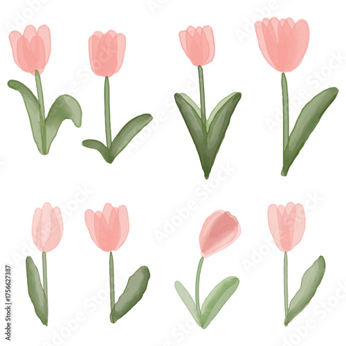 Tulips element set. hand draw watercolor painted isolated on white background. for design such as card, wallpaper and textile. 