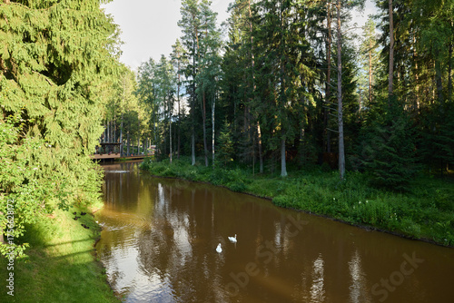 A Beautiful and Serene River Scene, Delightfully Embraced by Lush and Vibrant Greenery All Around Us