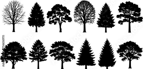 various deciduous trees silhouettes on the white background