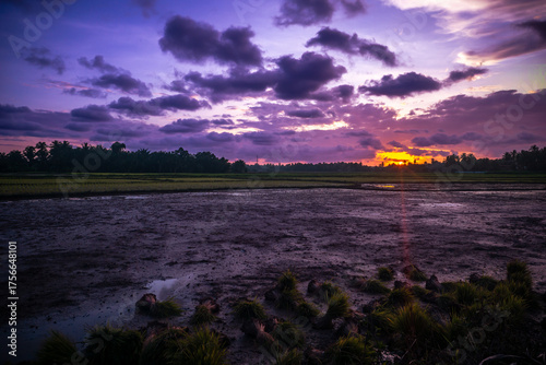 Dramatic sunset over agricultural field