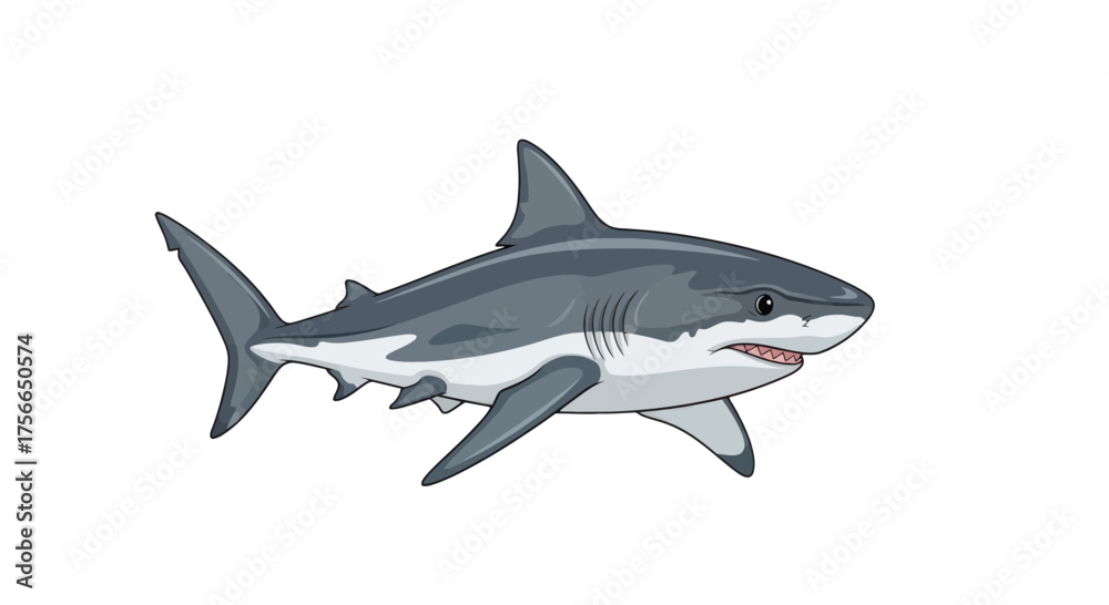 Fototapeta premium Vector illustration of a gray and predator shark with visible teeth swimming to the right side view