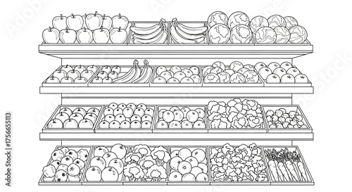 Line art of fruit and vegetable display in grocery store  