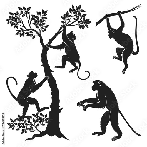 Silhouette of four playful monkeys swinging climbing and standing in a stylized tree and on a branch against a white background