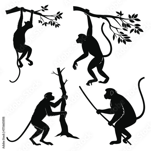 Collection of four black monkey silhouettes in various poses on white background swinging from branches climbing trees and holding sticks representing jungle life and primate agility