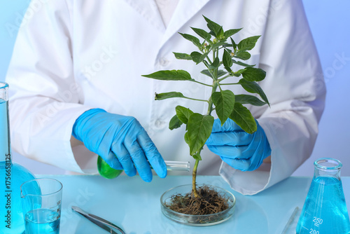 Female agronomist working with plant sample in laboratory