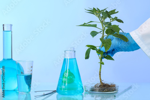 Agronomist working with plant sample in laboratory
