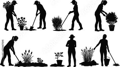 Silhouette of women gardening and planting flowers, working in garden, nature care, outdoor activity, eco lifestyle, growth and sustainability concept